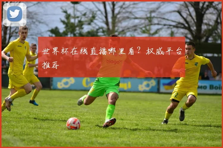 世界杯在线直播哪里看?权威平台推荐