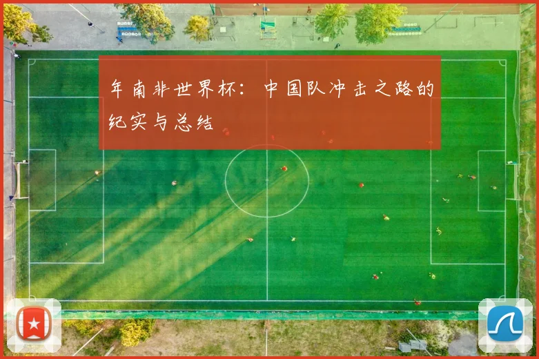 年南非世界杯：中国队冲击之路的纪实与总结