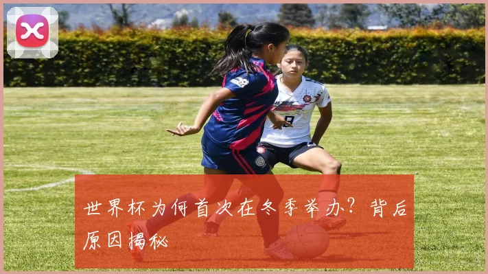 世界杯为何首次在冬季举办？背后原因揭秘