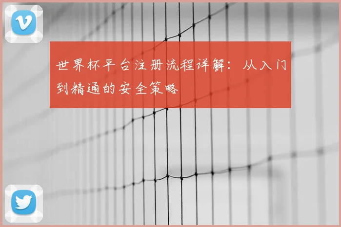 世界杯平台注册流程详解：从入门到精通的安全策略